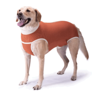 Body cobre perros castrados